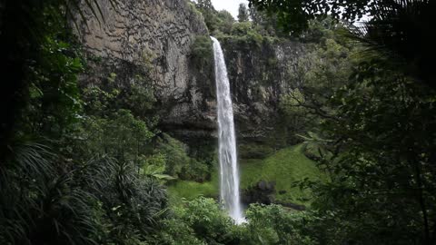 Nice Waterfall In Jungle