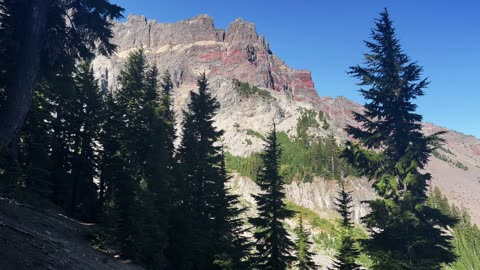 BITE SIZED WILDS | The Distinct RUSTIC STREAKS of Three Fingered Jack @ Alpine Forest! | 4K | Oregon