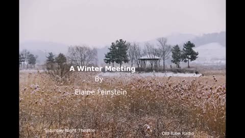A Winter Meeting by Elaine Feinstein