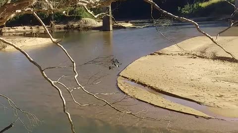 16.6.2024 The Barron River, Kuranda (2)