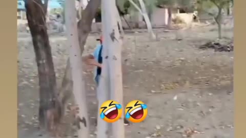 Funny video 😂 🤣