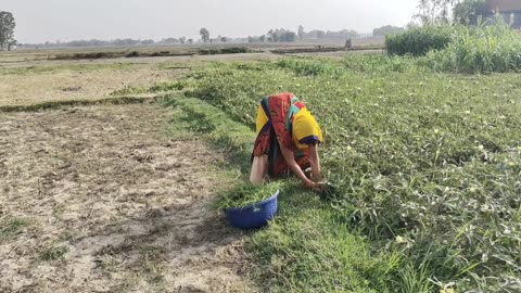 morning to evening routine indian village life || Indian Villagers Life || Indian Real Village