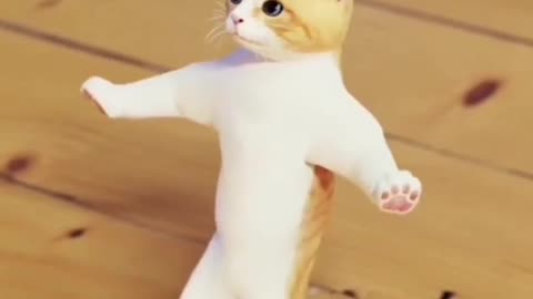 Watch This Adorable Dancing Cat!
