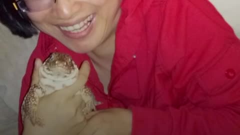 Lizard Licks, Hugs Human Mom | The Dodo