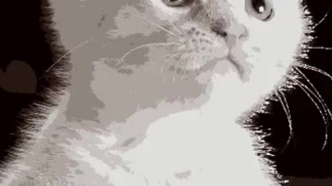 Expressive Cat Sketching Capturing Personality in Feline Art