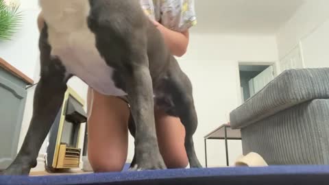 Dog Joins in on Yoga Session