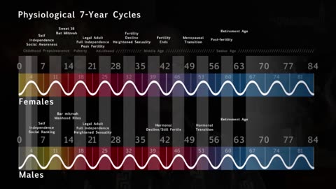 Do Humans Have Seven Year Cycles Throughout Life?