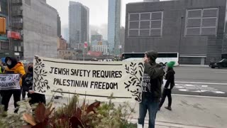 When the left tell you Jewish Safety Requires Palestinian Freedom