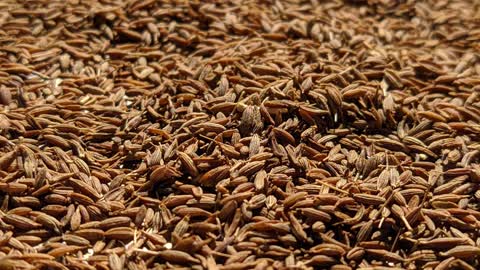 Medicinal properties of Cumin