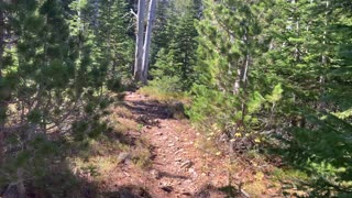 Eastern Oregon – Strawberry Lake + Wilderness – Exploring the Alpine Forest