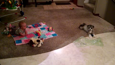 Baby can't stop laughing at puppy playing