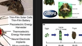 DARPA Microelectronics System