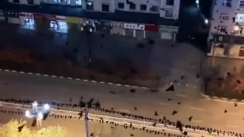 China: Hundreds of crows invade the city of Lanzhou!