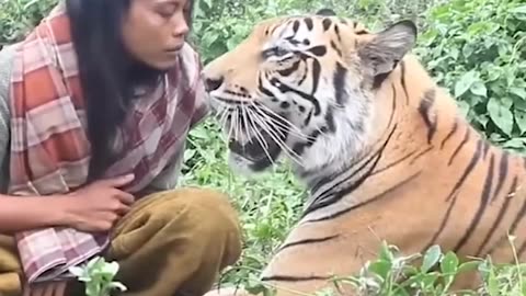 When Animal love and Humanity meets