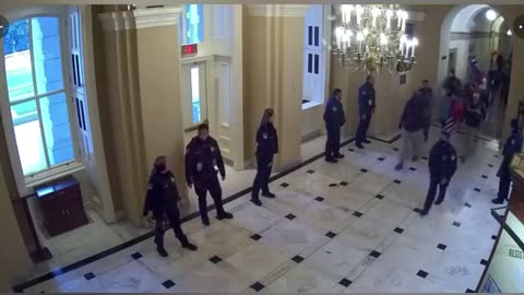 Newly released footage of Matthew Perna shows Matthew walking calmly in the Capitol shooting video.