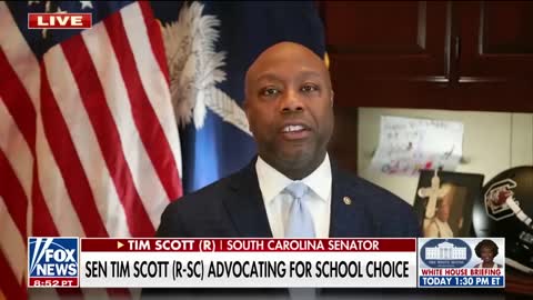 Tim Scott: This is all about power