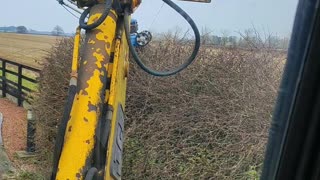 Using a Crane to Cut Hedges