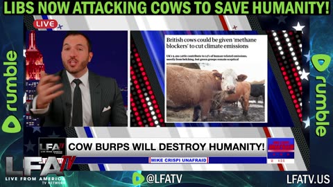 LIBS NOW ATTACK COWS TO "SAVE" HUMANITY!