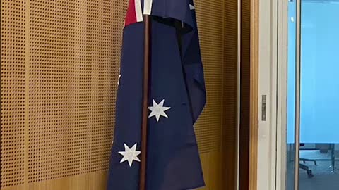 Greens leader Adam Bandt removes Australian flag from press conference O