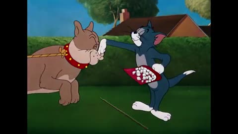 Tom And Jerry Best Episodes