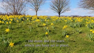 Psalm 8 _ Irish Landscapes _ Ballymaloe _ Midleton _ County Cork Ireland _ Meditation