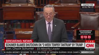 Schumer Digs In — Want To Open Government? Stop Talking About Border Wall