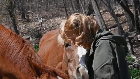 Sometime with horse