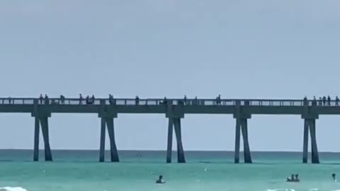 A #shark was swimming very close to shore today in Navarre Beach, #Florida! 📷 Video by Cristy Cox