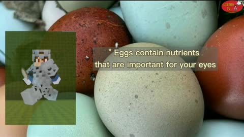 Health Benefits of Eggs| Trivia of the day