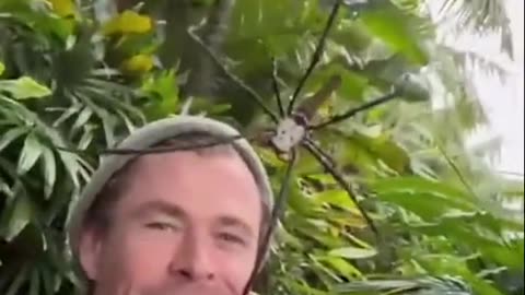 Chris Hemsworth's insane brave interaction with deadly spider