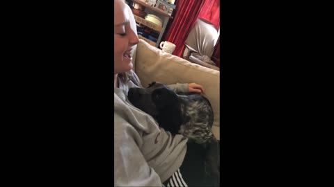 Clingy Dog Refuses to Stop Cuddling Caretaker (1)