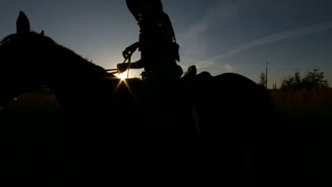 Horse rider walking at sunset - silhouette shot, slow-motion