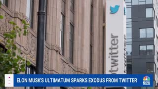 Twitter Employees Quit After Elon Musk Gives Workers Ultimatum