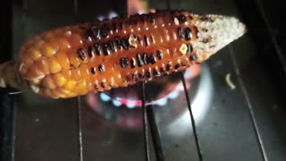 Roasting corn on gas