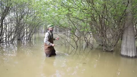 WADING FOR MISSISSIPPI CRAPPIE | KNEE DEEP IN THE CYPRESS TREES