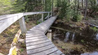 Foot Bridge