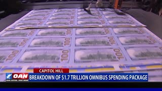 Breakdown of $1.7 Trillion Omnibus Spending Package