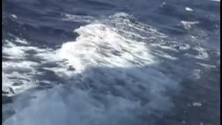 Beautiful Offshore Atlantic Ocean Sail from New York to Florida