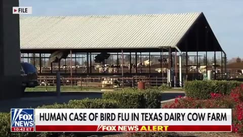 Fox News: “There’s a highly-contagious pathogen jumping from bird to cow to human.”