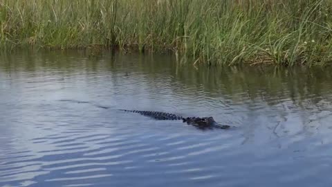 Top 9 Most DANGEROUS National Parks