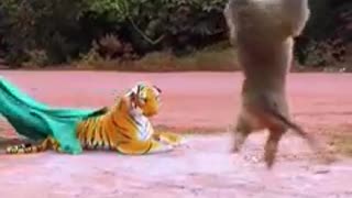 Animal: Monkey gets scared by a fake-stuffed tiger