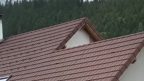 Shed's Roof Gets Torn During Tornado in a French Commune Sending Debris Flying into Air