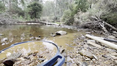 Creek life in Australia #goldpanning