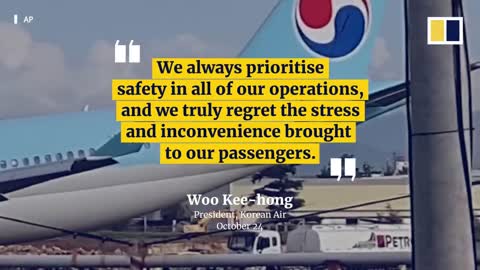 Korean Air plane with 173 on board damaged after overshooting runway in Philippines