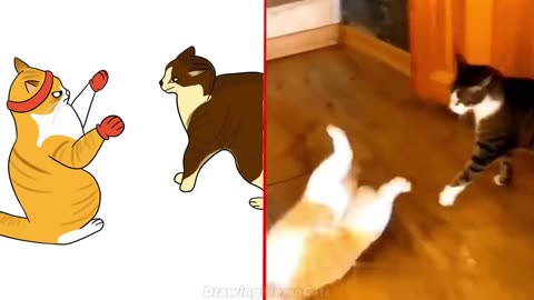 😂Cat Memes: Skibidi Toilet Cat and Funniest Dogs (updated) 😅 Trending Funny Animals 😹