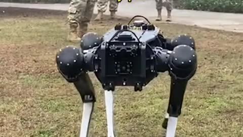 Robot patrol 'dog demonstrated for military police