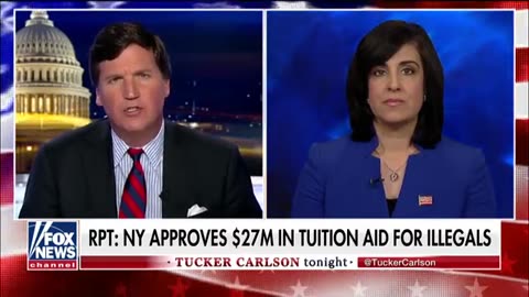 (4/13/19) Malliotakis On Tucker Carlson: Gold Star Families Before Illegal Immigrants