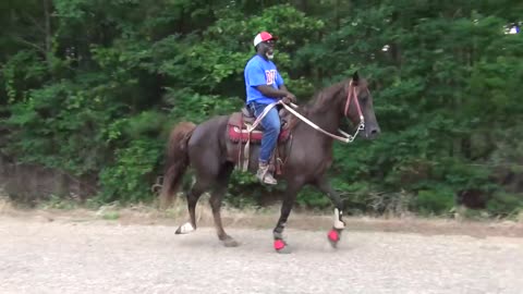 "BIG" Front Action Ryders Annual Walking Horse Trail Ride in Ogden, Arkansas-8