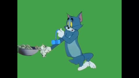 TOM AND JERRY - Green Screen Tom and Jerry - Green Screen Cartoon video