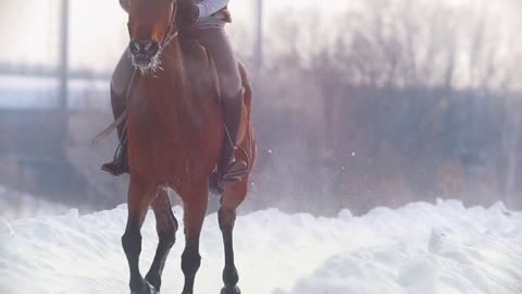 Longhaired female rider wild and fast riding black horse through the snow